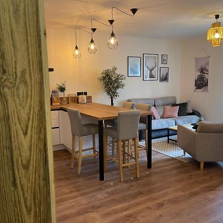 Appartement Tout Confort Haut De Gamme En Plein Centre Ville Жерарме Екстер'єр фото
