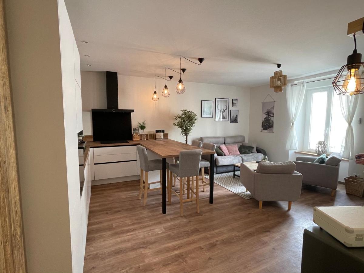 Appartement Tout Confort Haut De Gamme En Plein Centre Ville Жерарме Екстер'єр фото